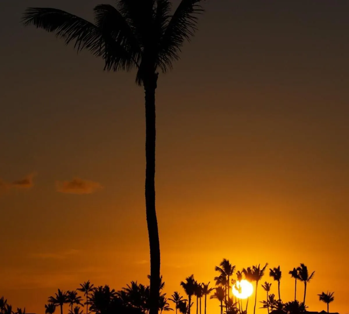 Ferienhaus Mauna Lani 4 Bedroom Luxury Golf & Beach Club Waikoloa USA